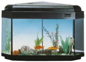 Acquario 110 litri con mobile NATURALISTICO - Vendita acquari Online