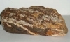 Rocce legno fossile    al kg