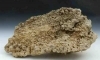 Roccia corallina, 10-20cm circa, prezzo al Kg
